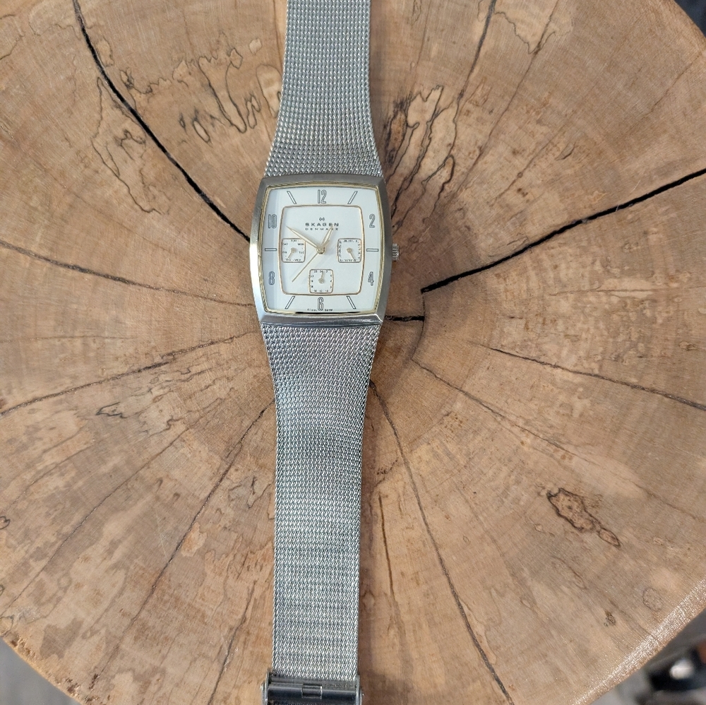 Unique Skagen Mesh 390LSGS Mens Watch